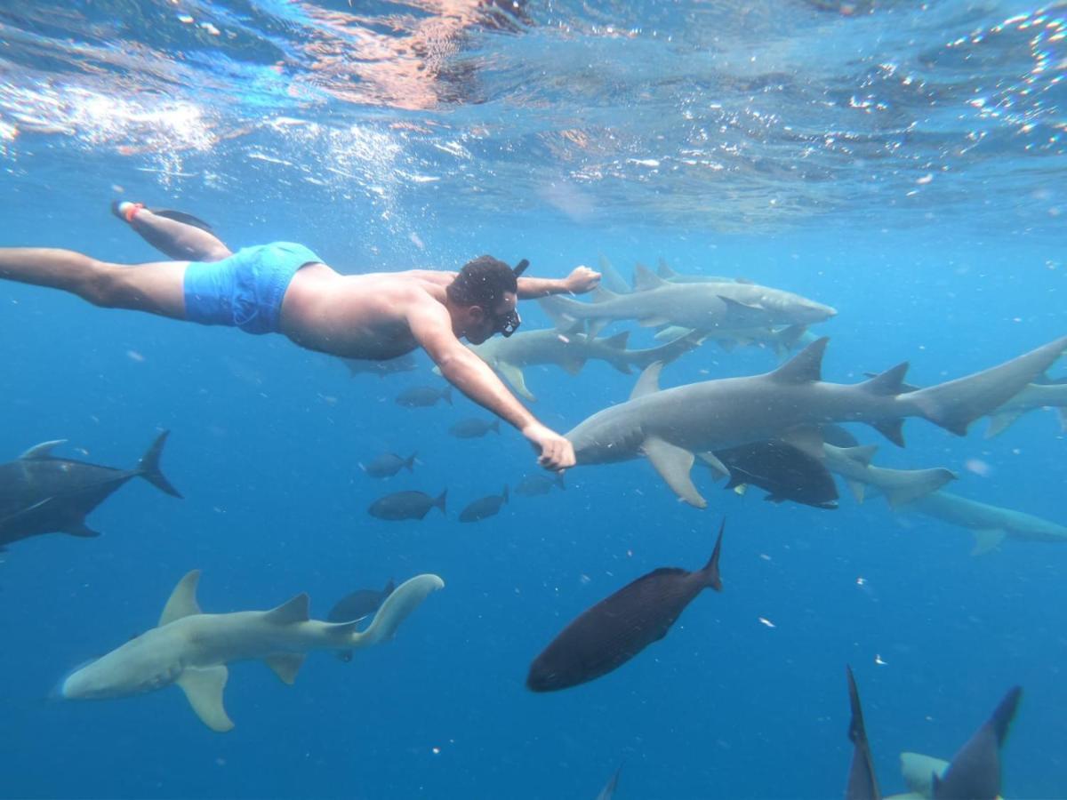 The Sky Maldives 굴히 외부 사진